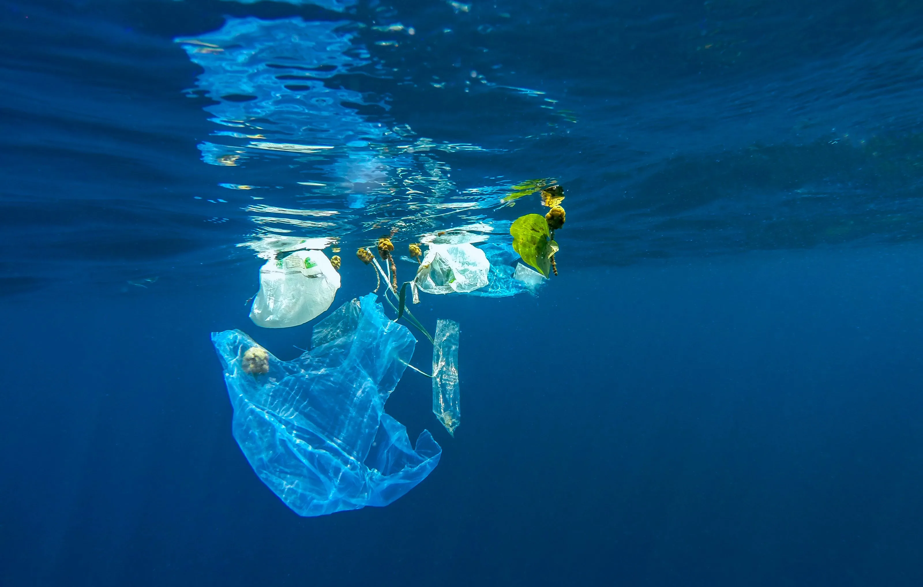 Plastic drifting below the surface